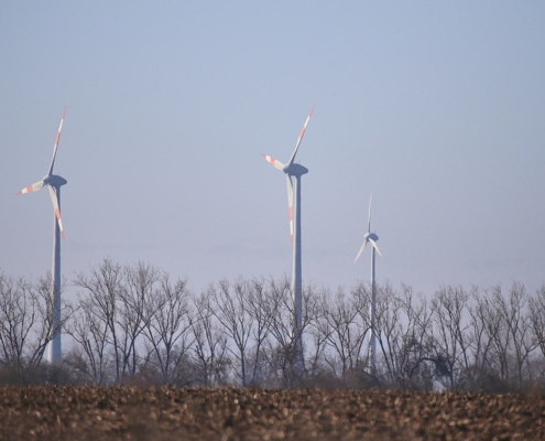 Windräder (Archiv)