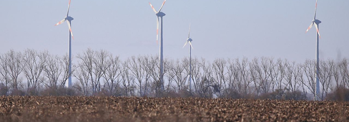 Windräder (Archiv)