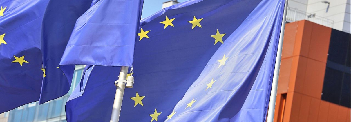 EU-Fahnen (Archiv)