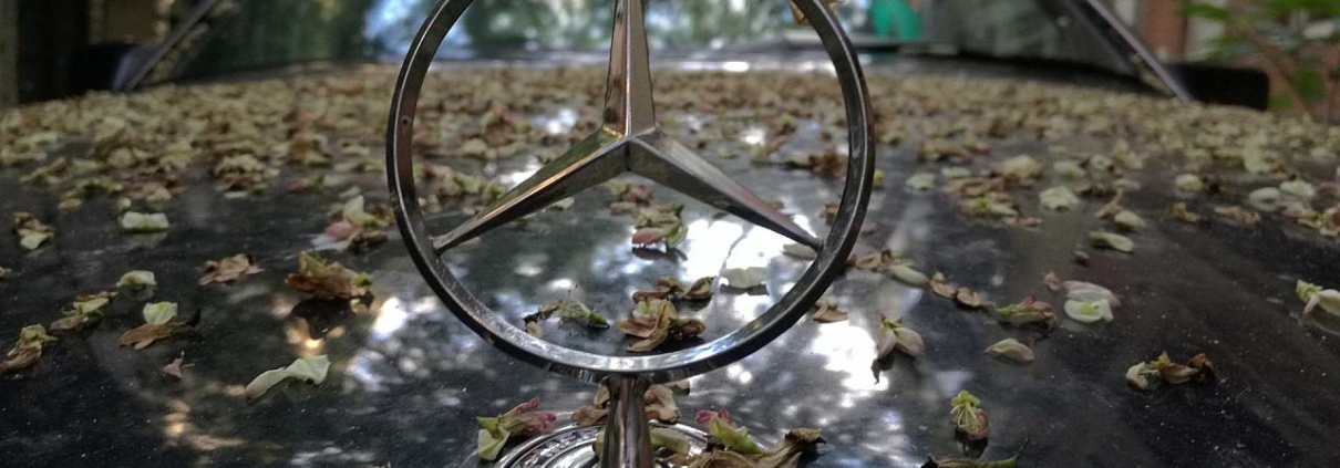 Mercedes-Stern (Archiv)