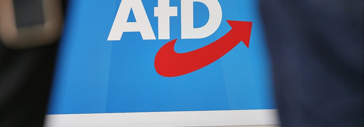 AfD-Logo (Archiv)