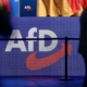 AfD-Logo (Archiv)