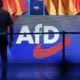 AfD-Logo (Archiv)