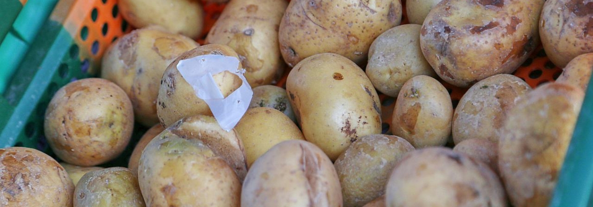 Kartoffeln (Archiv)