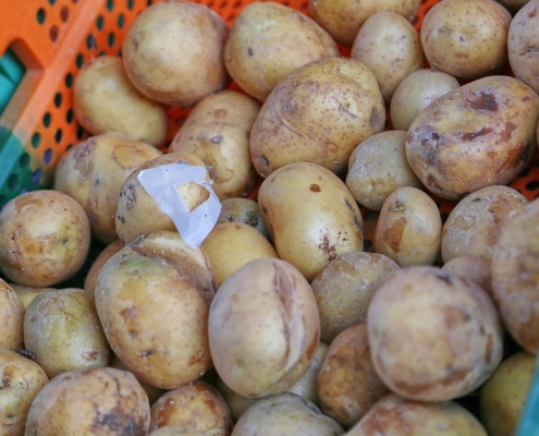Kartoffeln (Archiv)