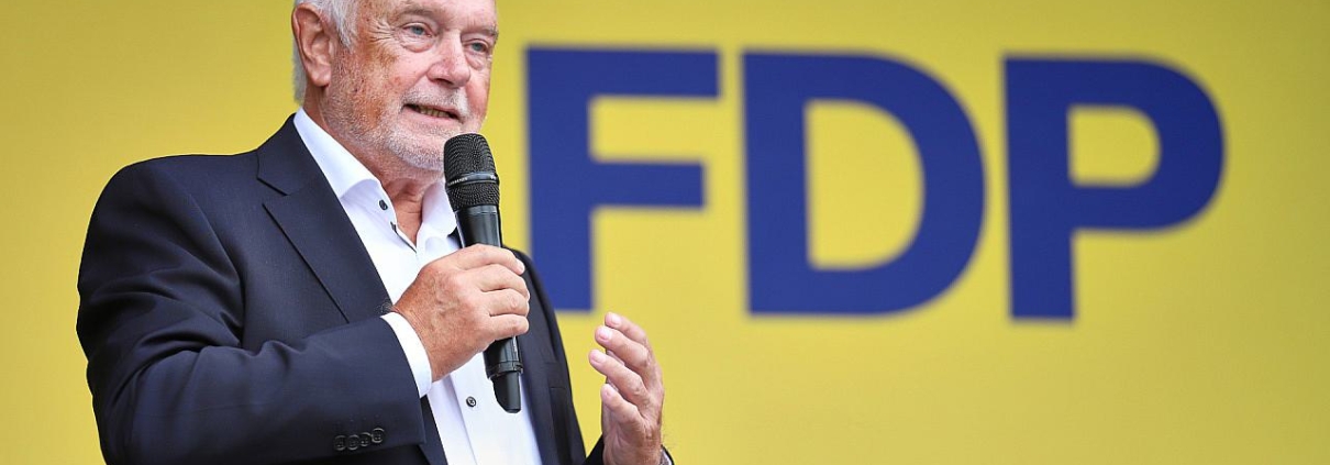 Wolfgang Kubicki (Archiv)