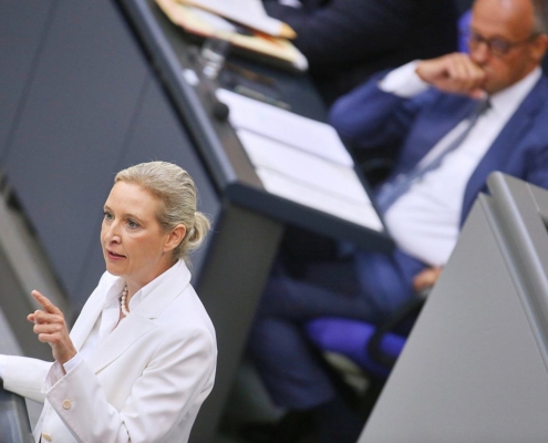 Alice Weidel und Friedrich Merz (Archiv)