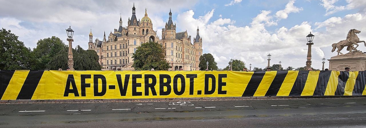 Demo für AfD-Verbot vor dem Landtag von Mecklenburg-Vorpommern (Archiv)