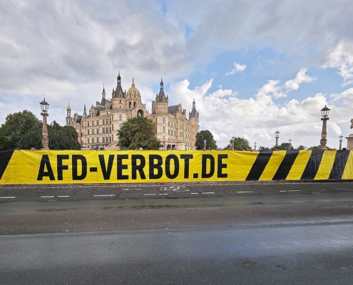 Demo für AfD-Verbot vor dem Landtag von Mecklenburg-Vorpommern (Archiv)