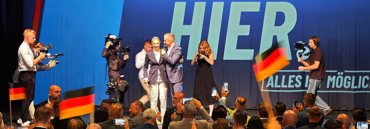 AfD-Wahlparty (Archiv)