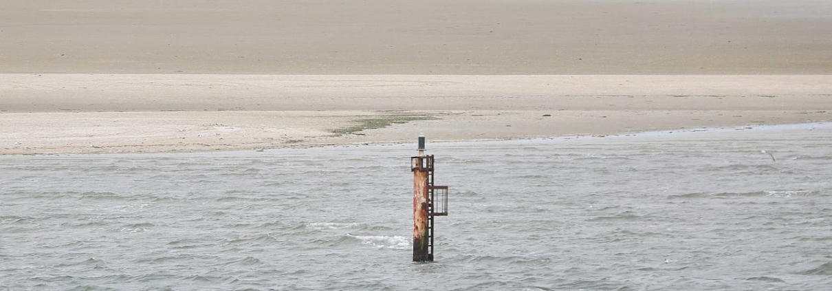 Dalbe in der Nordsee (Archiv)