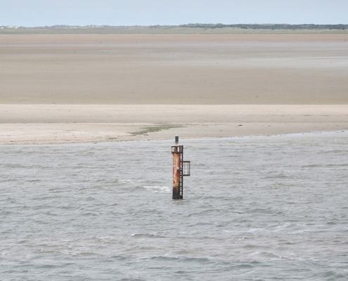 Dalbe in der Nordsee (Archiv)