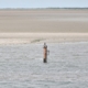 Dalbe in der Nordsee (Archiv)